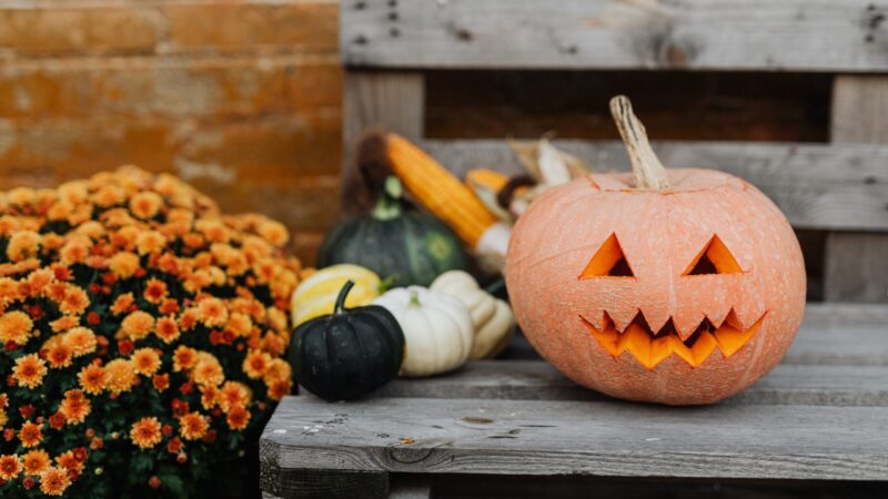 Vijf dingen om met je Halloweenpompoen te doen