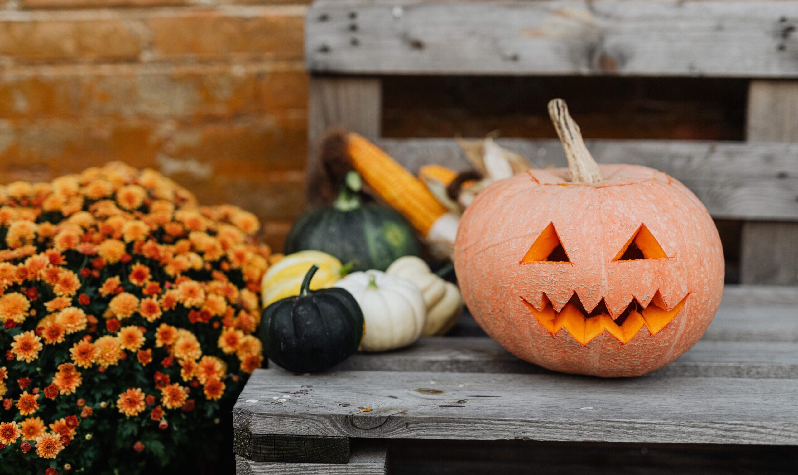 Vijf dingen om met je Halloweenpompoen te doen