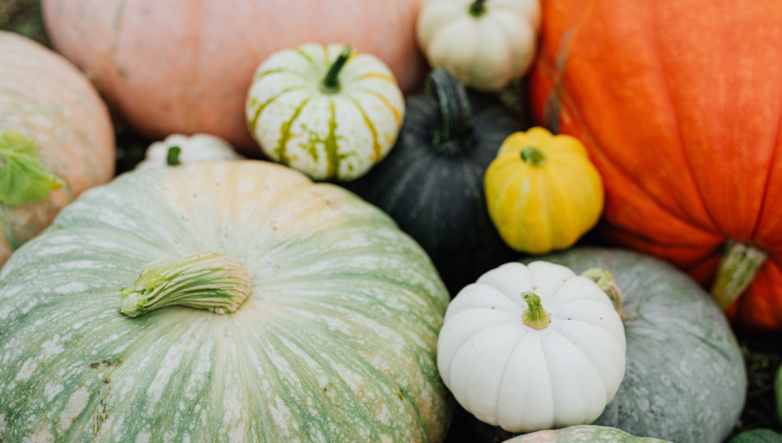 Duurzaam eten met de seizoensgroenten van oktober